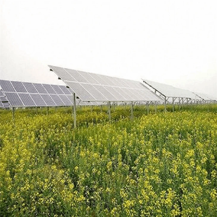 Farm Solar Panel Mounting System suppliers